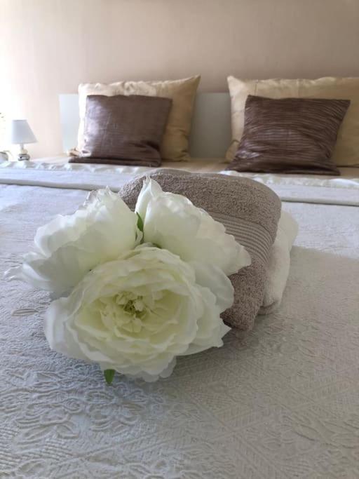 Bird View Apartment Carlissima Trogir Exterior foto